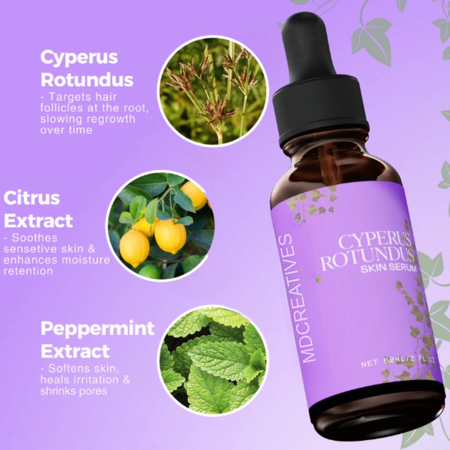 Cyperus Smooth